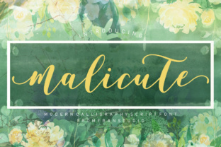 A Real-World Designer's Review of the Malicute Script Font