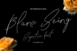 Blanc Seing: A Signature Font for Modern Branding