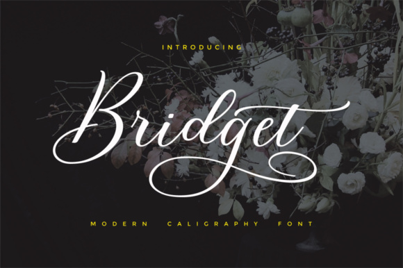 Bridget Script: A Modern Calligraphic Font for Digital Branding