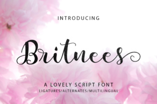 Britnees Script: The Modern Handwritten Font for Elegant Design