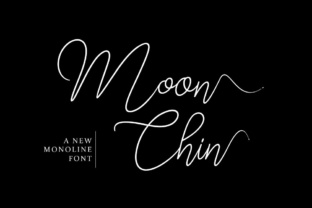 Elevate Your Brand with Moon Chin: A Stylish Script Font