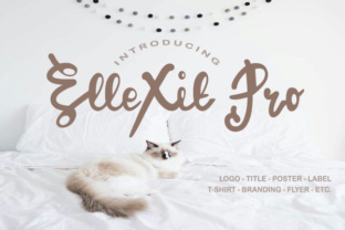 ElleXit Pro: A Handwritten Script for Creative Makers