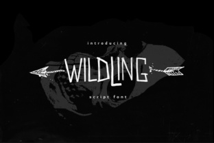 How Wildwildling Font Enhances Modern Digital Design