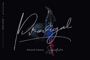 Prodigal: A Signature Font for Modern Digital Design