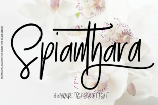 Spianthara Script: An Elegant Modern Typeface